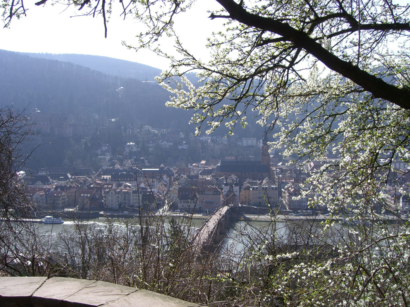Heidelberger Altstadt